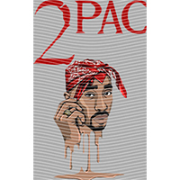 idol singer-GS  1065